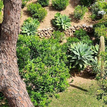 Sitio de Calahonda Elena Flat Lovely Paradise Above The Sea מראה חיצוני תמונה