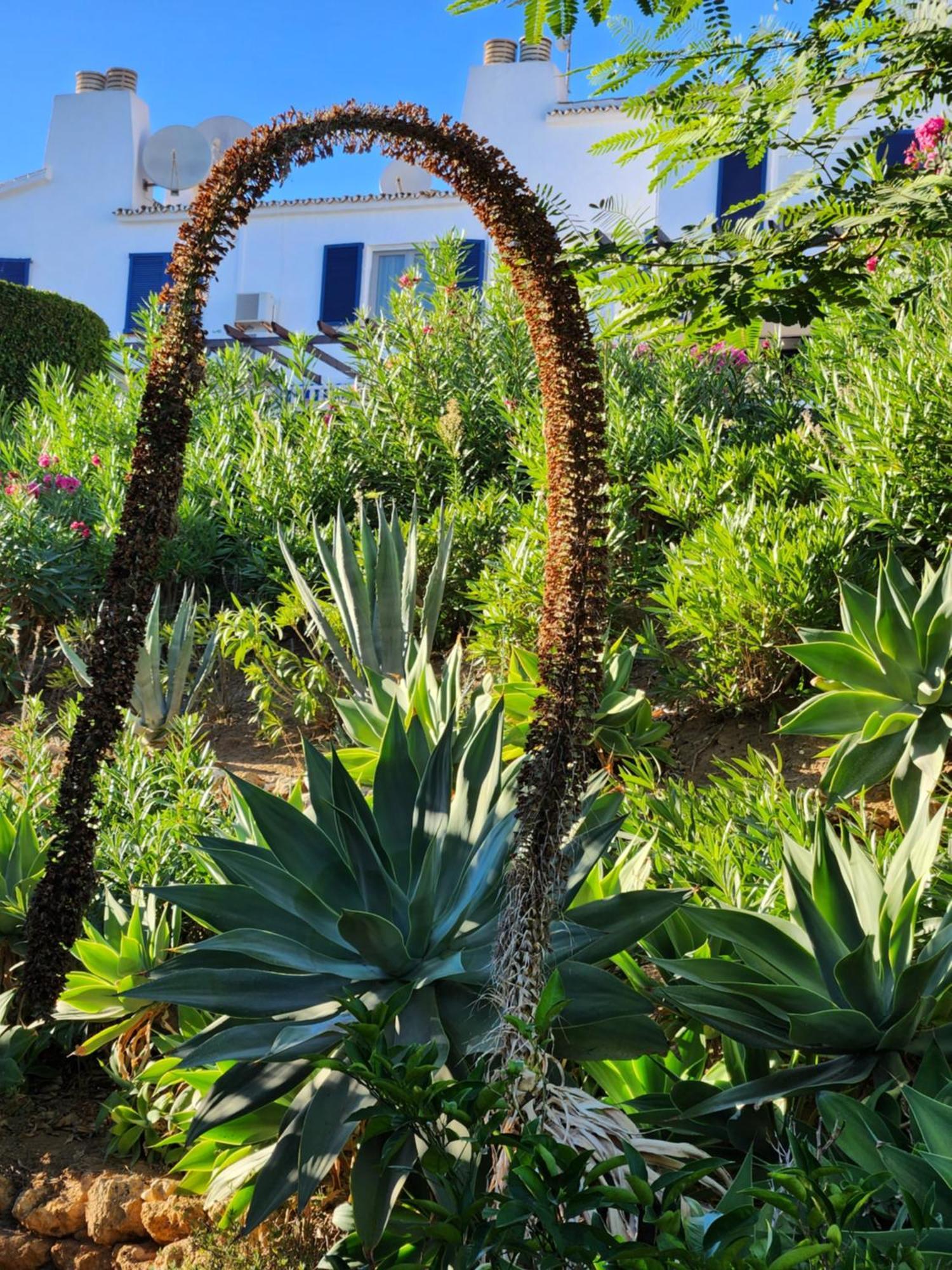 Sitio de Calahonda Elena Flat Lovely Paradise Above The Sea מראה חיצוני תמונה
