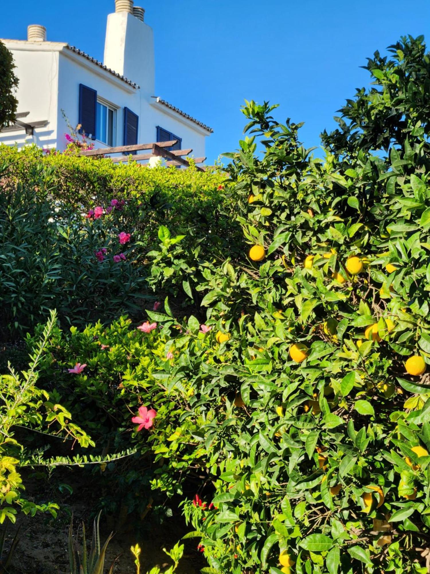 Sitio de Calahonda Elena Flat Lovely Paradise Above The Sea מראה חיצוני תמונה